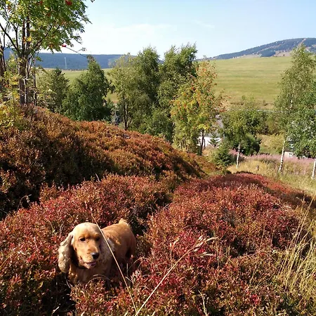 Melusine Loucna pod Klinovcem