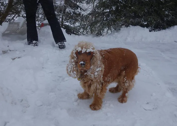 Pensionat Melusine *