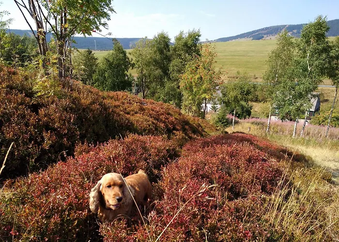 Melusine Loučná pod Klínovcem
