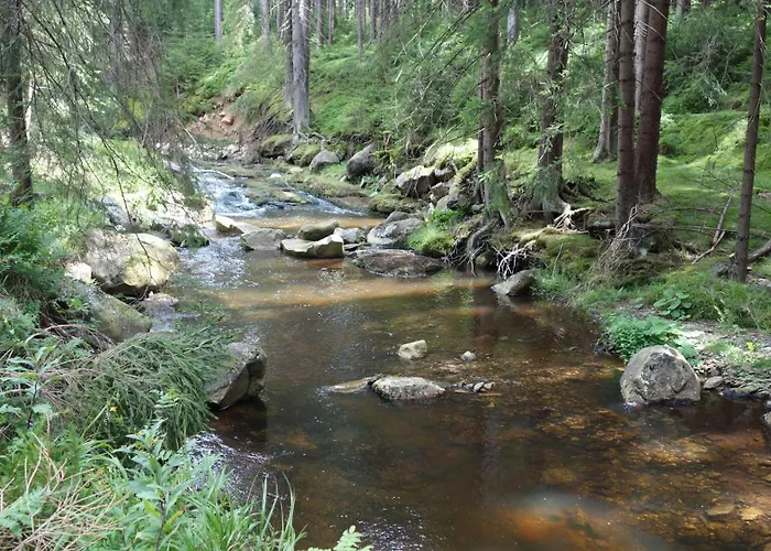 Melusine Pensionat Loučná pod Klínovcem